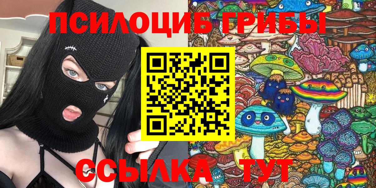 Псилоцибиновые грибы Psilocybine cubensis Ростов Великий