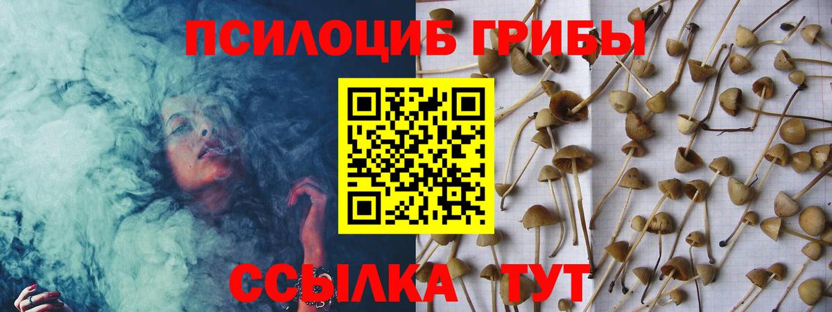 Ростов Великий  даркнет сайт  Галлюциногенные грибы мицелий  Вход с VPN  Галлюциногенные грибы мухоморы 